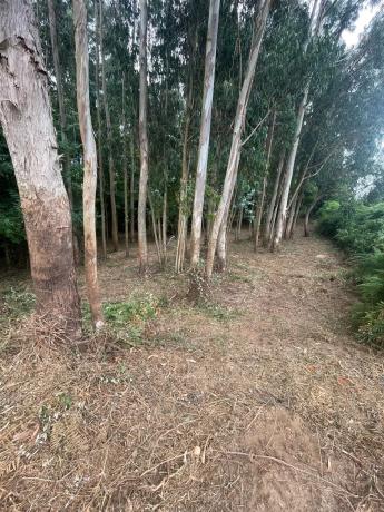 Terreno en Lugar Campo Mantas, 30 a