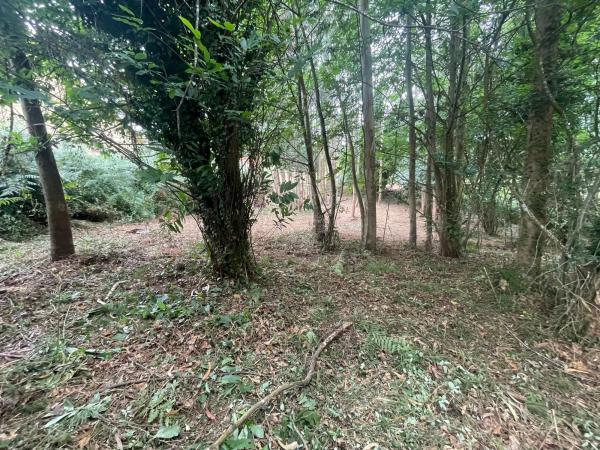 Terreno en Lugar Campo Mantas, 30 a