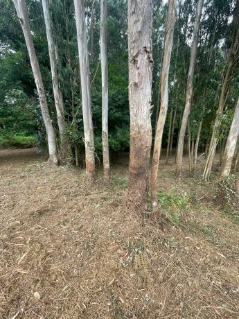 Terreno en Lugar Campo Mantas, 30 a