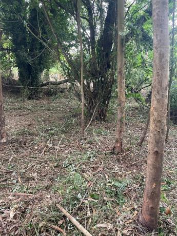 Terreno en Lugar Campo Mantas, 30 a