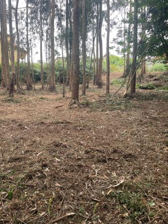 Terreno en Lugar Campo Mantas, 30 a