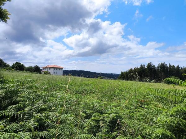 Terreno en calle Catas, 35