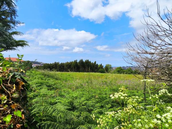 Terreno en calle Catas, 35