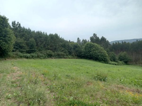 Terreno en Lugar Ameas, 5