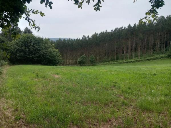 Terreno en Lugar Ameas, 5