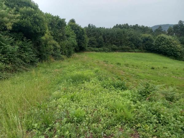 Terreno en Lugar Ameas, 5