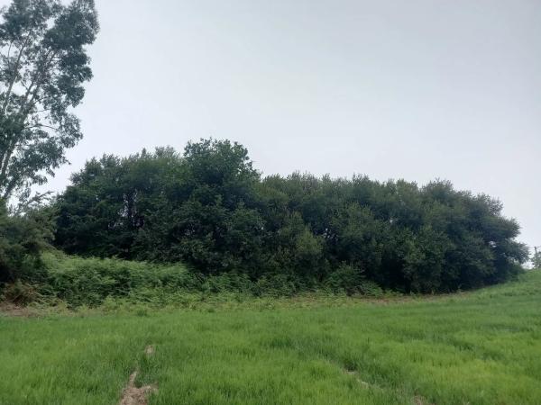 Terreno en Lugar Ameas, 5