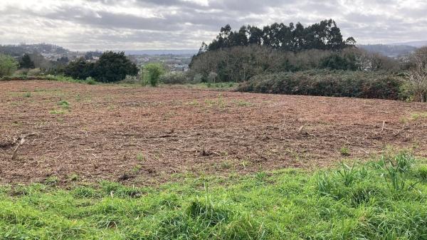 Terreno en calle Castro de Montrove s/n sn