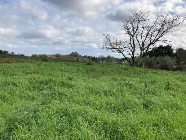 Terreno en calle Castro de Montrove s/n sn