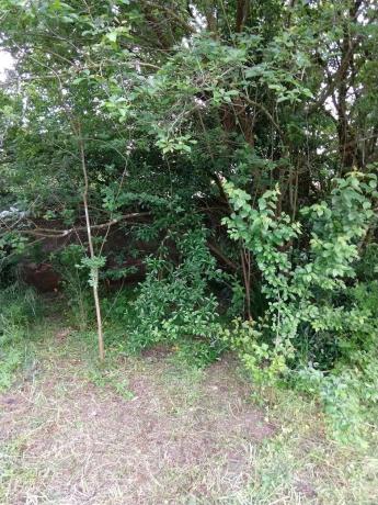 Terreno en avenida das Mariñas, 73