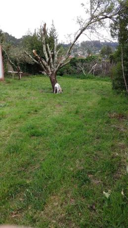 Terreno en avenida das Mariñas, 73