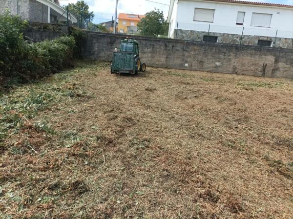 Terreno en calle da castañeira, 9