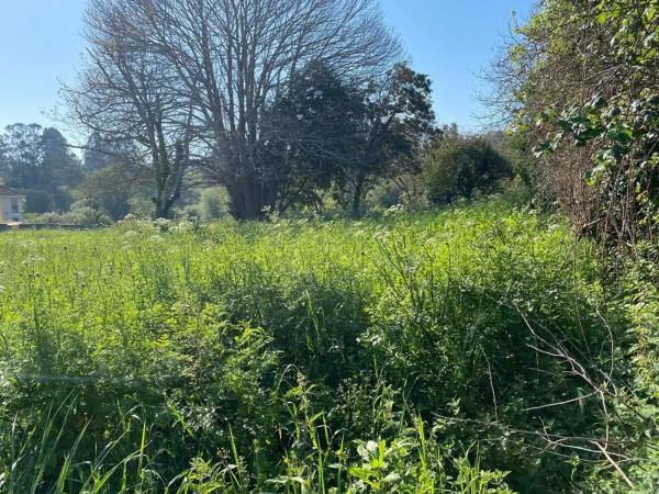 Terreno en Dp-5813, 73