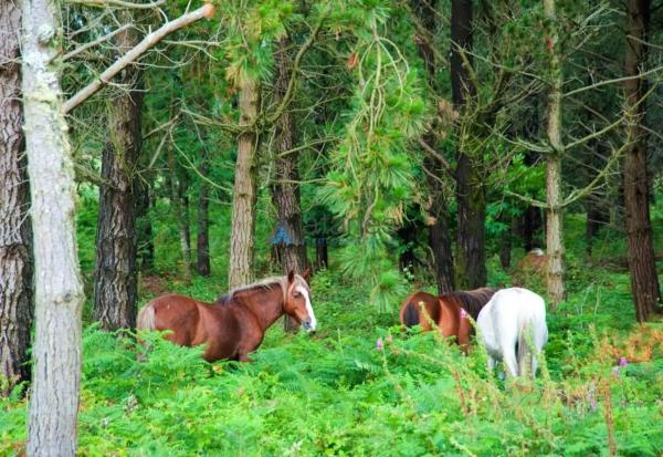 Terreno en Parroquias rurales