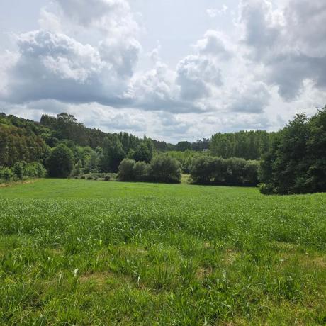 Terreno en Tuiño