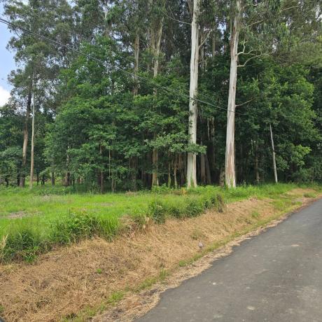 Terreno en Tuiño