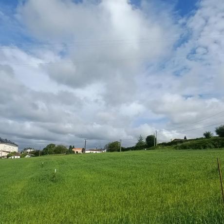 Terreno en Peneda s/n