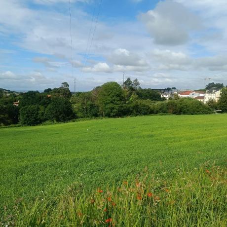 Terreno en Peneda s/n