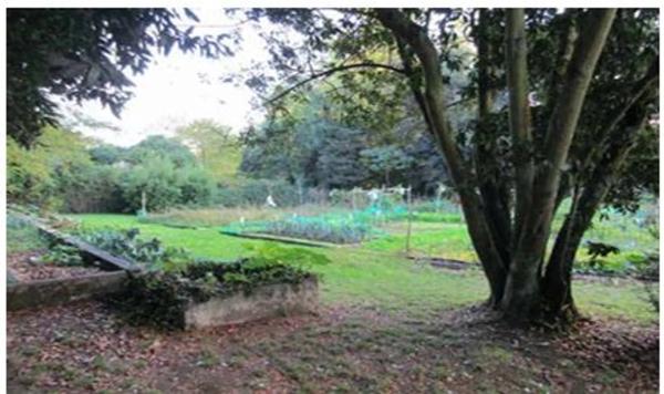 Terreno en calle Luis Seoane, 2