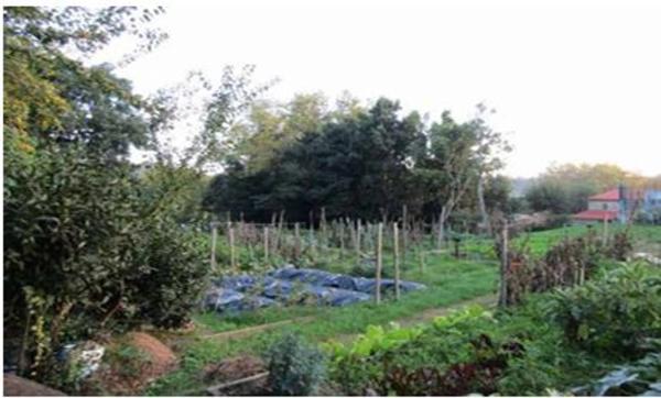 Terreno en calle Luis Seoane, 2