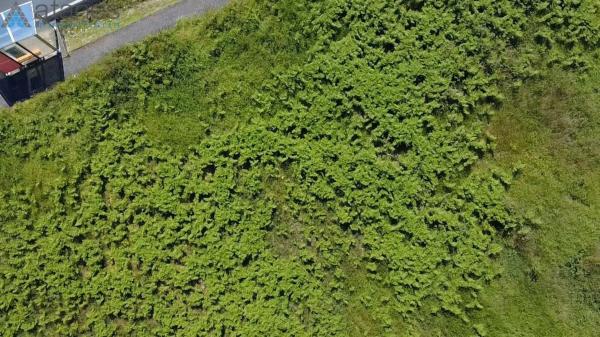 Terreno en Mera-Serantes