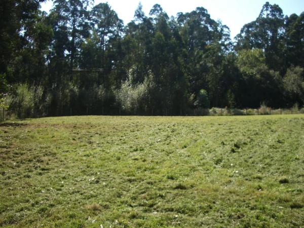 Terreno en Chan Aldea, km 5