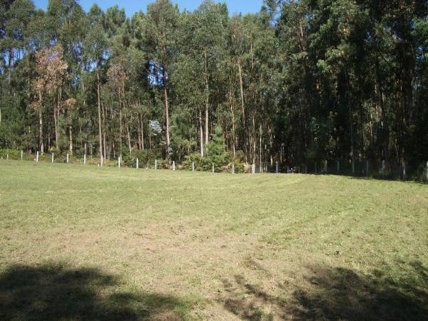 Terreno en Chan Aldea, km 5