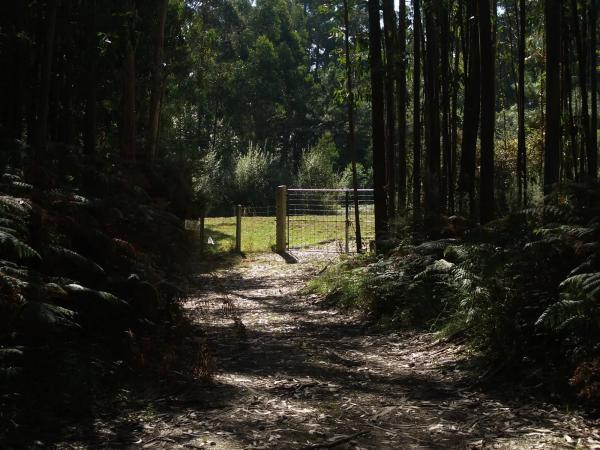 Terreno en Chan Aldea, km 5