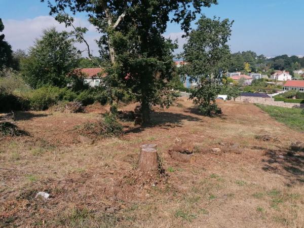 Terreno en calle Sofía Casanova, 5