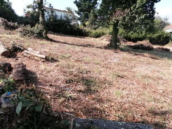 Terreno en calle Sofía Casanova, 5