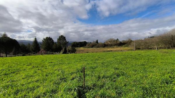 Terreno en Dp-0105, 11