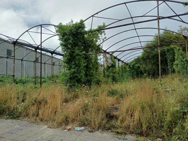 Terreno en calle Río Mero