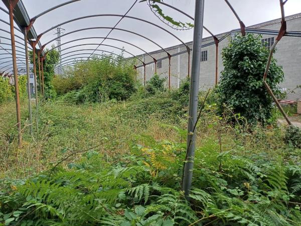 Terreno en calle Río Mero