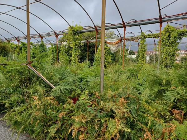 Terreno en calle Río Mero