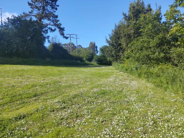 Terreno en Monteagudo s/n