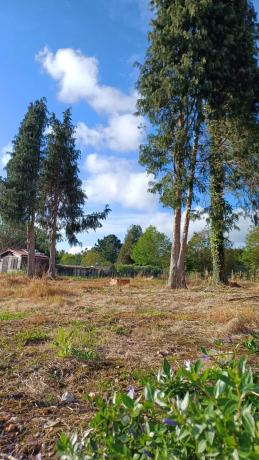 Terreno en Mandín, 22