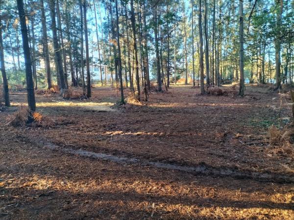 Terreno en avenida Rosalía Castro, 8 a
