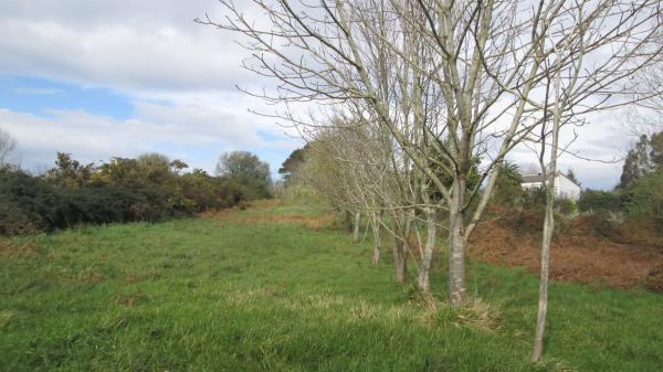 Terreno en calle Aro s/n