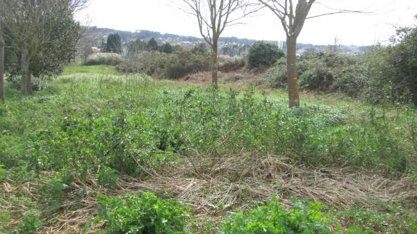 Terreno en calle Aro s/n