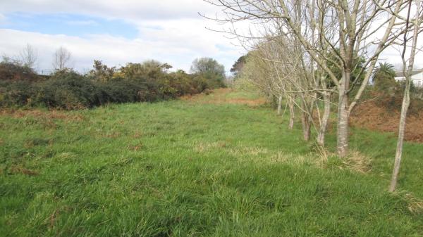 Terreno en calle Aro s/n