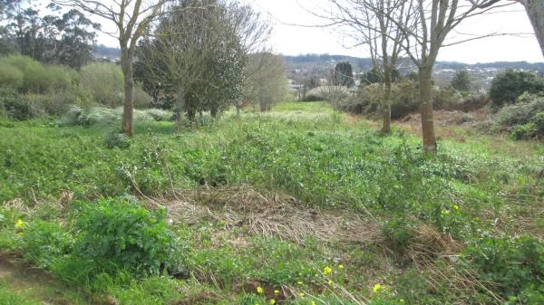 Terreno en calle Aro s/n