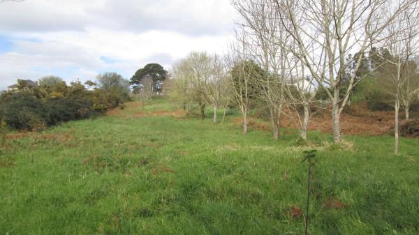 Terreno en calle Aro s/n