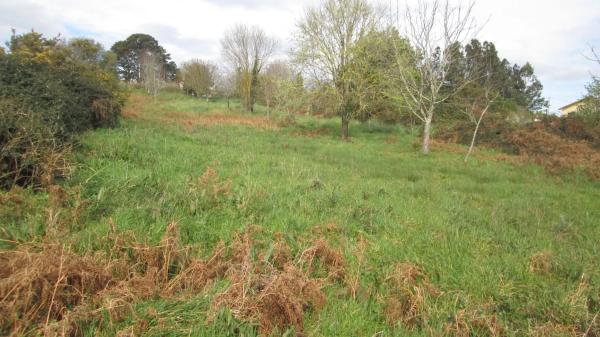 Terreno en calle Aro s/n