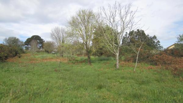 Terreno en calle Aro s/n