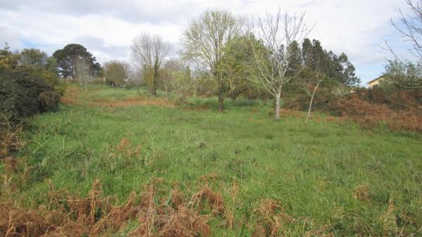 Terreno en calle Aro s/n