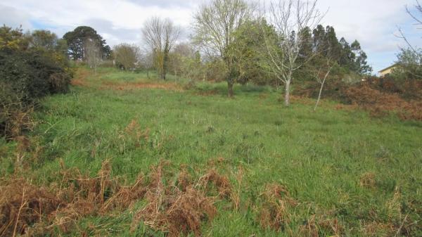 Terreno en calle Aro s/n