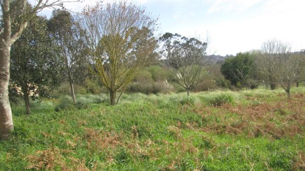 Terreno en calle Aro s/n