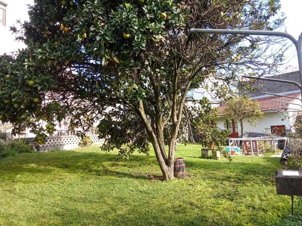 Terreno en avenida Rosalía Castro, 209