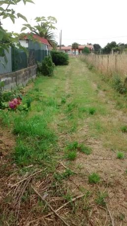 Terreno en Lugar de Campos s/n