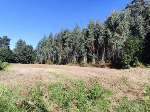 Terreno en camino Estación, 40